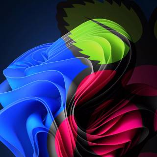 Windows 11 home wallpaper