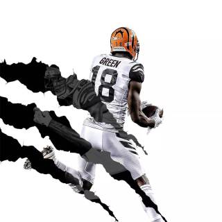 Cincinnati Bengals players wallpaper
