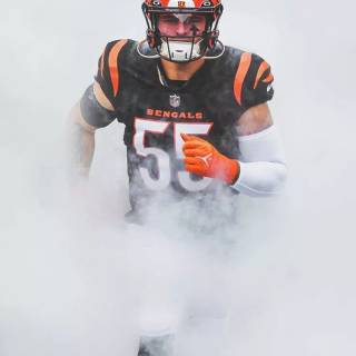 Cincinnati Bengals players wallpaper