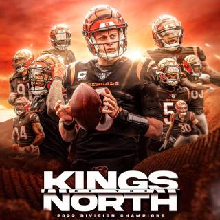 Cincinnati Bengals players wallpaper