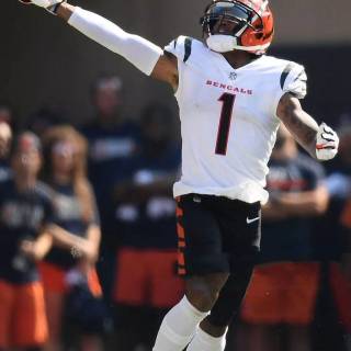 Cincinnati Bengals players wallpaper