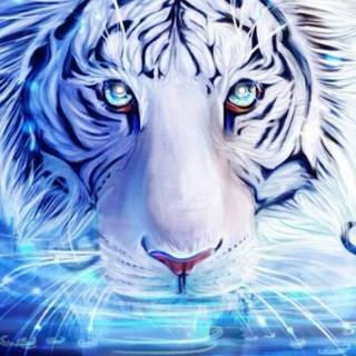 Lightning tiger wallpaper