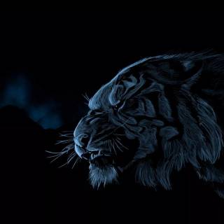 Lightning tiger wallpaper