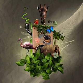 Jungle music wallpaper
