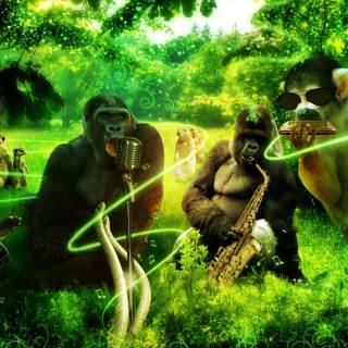 Jungle Music logo wallpaper