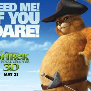 Shrek Forever After wallpaper