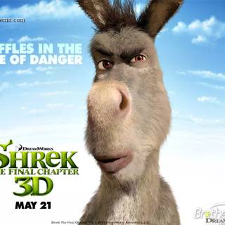 Shrek Forever After wallpaper