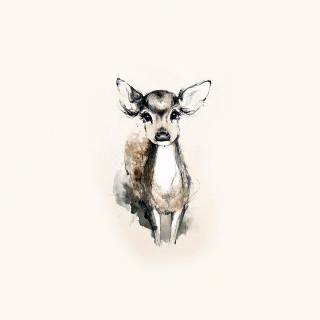 Deer drawing wallpaper