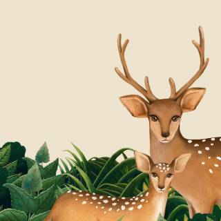 Deer drawing wallpaper