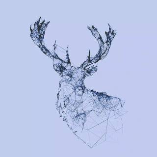 Deer drawing wallpaper