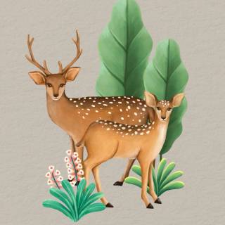 Deer drawing wallpaper
