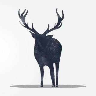 Deer drawing wallpaper