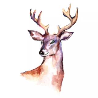 Deer drawing wallpaper