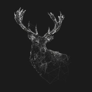 Deer drawing wallpaper