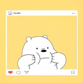 Yellow bear wallpaper