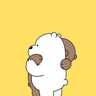 Yellow bear wallpaper