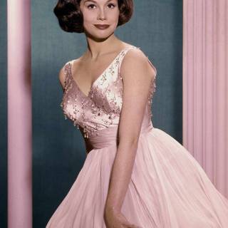 Mary Tyler Moore wallpaper