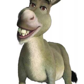 Donkey meme wallpaper