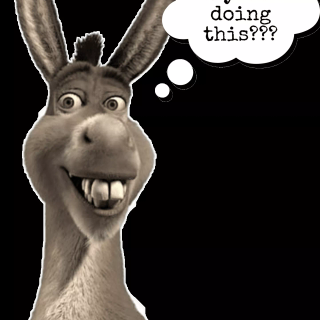 Donkey meme wallpaper