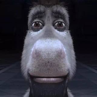 Donkey meme wallpaper