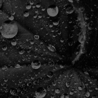 3840x2160 black wallpaper