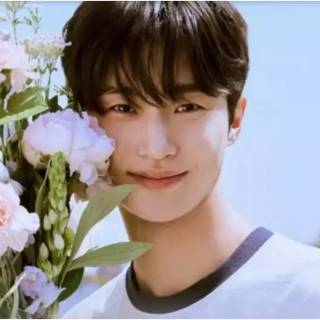 Byeon Woo-seok desktop wallpaper