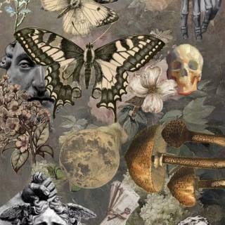Victorian collage wallpaper
