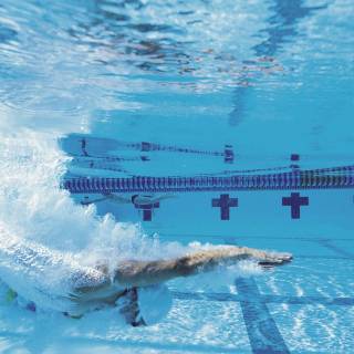 Female swimmer wallpaper