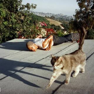 Teezo Touchdown wallpaper