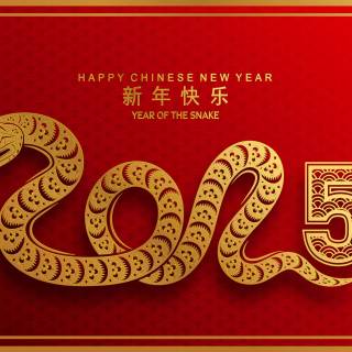 Year of The Snake wallpaper