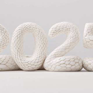 Year of The Snake wallpaper