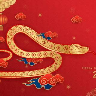 Year of The Snake wallpaper