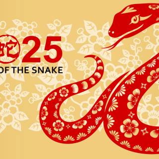 Year of The Snake wallpaper