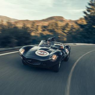 Jaguar D-Type wallpaper