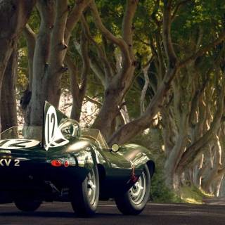 Jaguar D-Type wallpaper