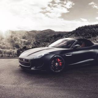 Jaguar D-Type wallpaper