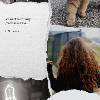 Hermione Granger aesthetic wallpaper