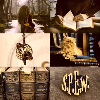 Hermione Granger aesthetic wallpaper