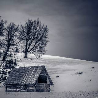 Dark cabin wallpaper