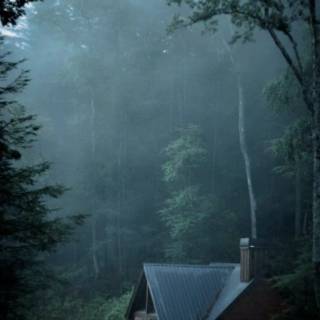 Dark cabin wallpaper