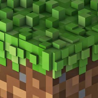 Minecraft icon wallpaper