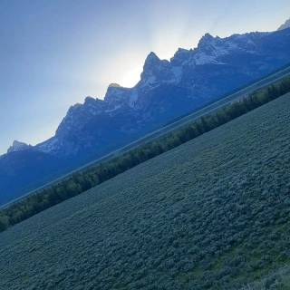 Ye album cover wallpaper