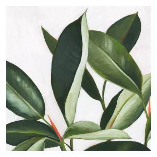 Rubber tree wallpaper