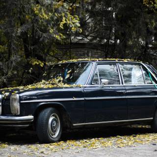 Mercedes-Benz W114 wallpaper