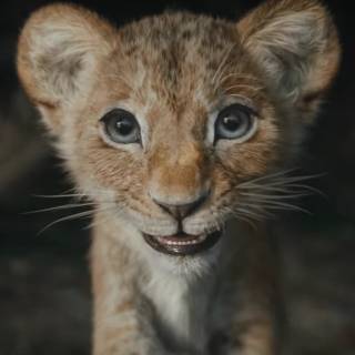 Kiara 2019 Lion King wallpaper