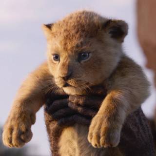 Kiara 2019 Lion King wallpaper