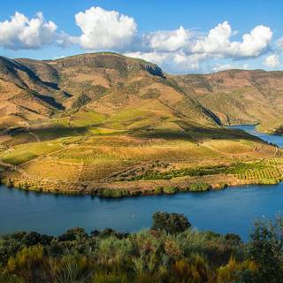 Douro River wallpaper