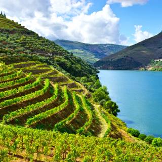 Douro River wallpaper