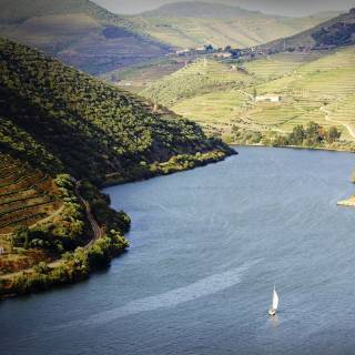 Douro River wallpaper