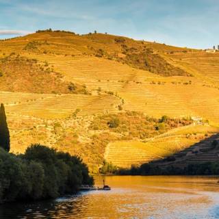 Douro River wallpaper